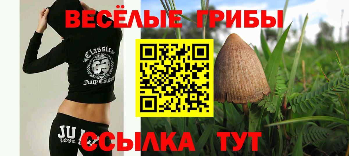 Псилоцибиновые грибы мухоморы  Вход с VPN  Обь 